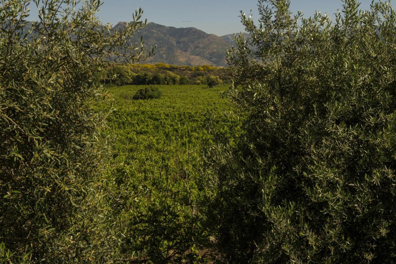 Tenuta Di Fessina Кастильоне ди Сичилия Екстериор снимка
